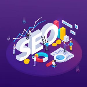 Search Engine Optimization Starter Guide